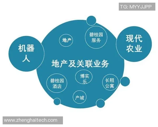 足球明星如何通过多元化收入渠道实现财富增长与品牌价值提升